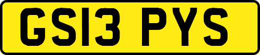 GS13PYS