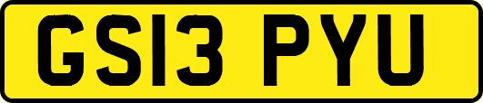 GS13PYU