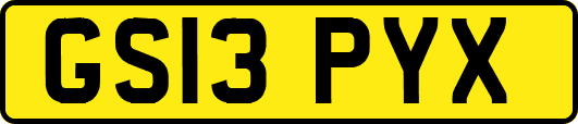 GS13PYX