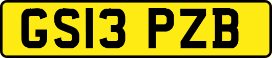 GS13PZB