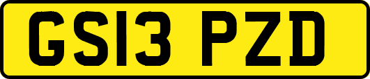 GS13PZD