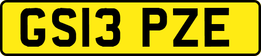 GS13PZE