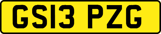 GS13PZG