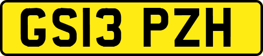 GS13PZH