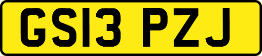 GS13PZJ