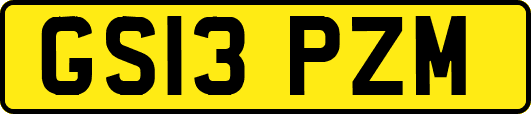 GS13PZM