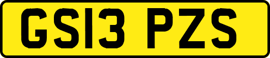 GS13PZS
