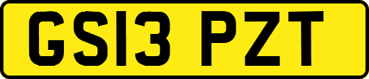 GS13PZT