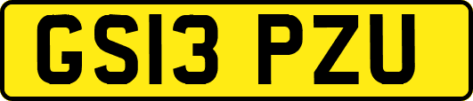 GS13PZU