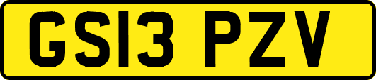 GS13PZV