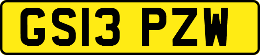 GS13PZW