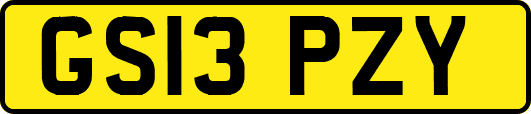 GS13PZY