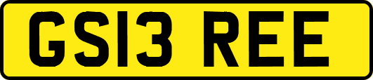 GS13REE