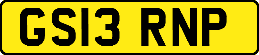 GS13RNP