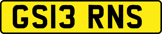 GS13RNS