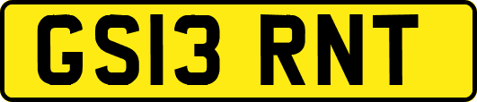 GS13RNT