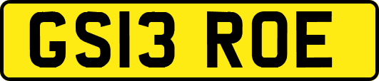 GS13ROE