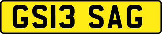 GS13SAG