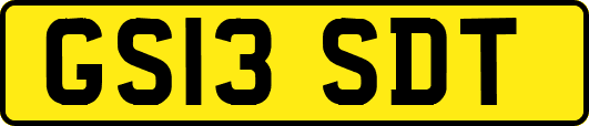 GS13SDT