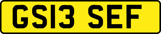 GS13SEF