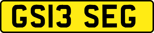 GS13SEG