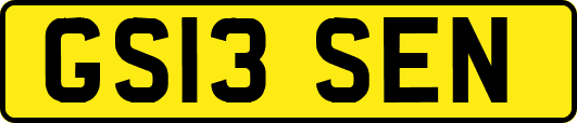 GS13SEN