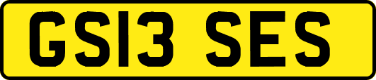 GS13SES