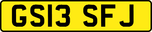 GS13SFJ