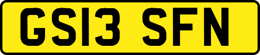 GS13SFN