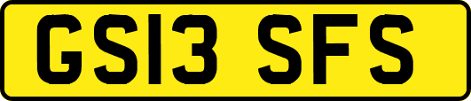GS13SFS