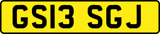 GS13SGJ