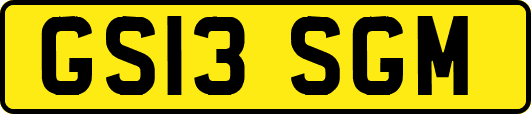 GS13SGM
