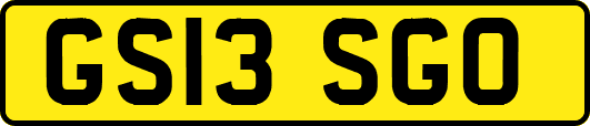 GS13SGO