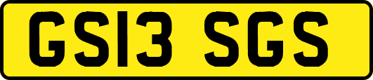 GS13SGS
