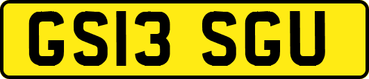 GS13SGU