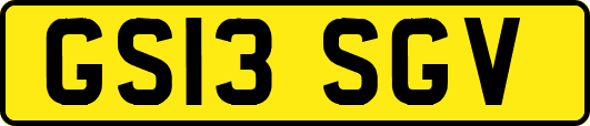 GS13SGV