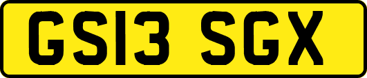 GS13SGX