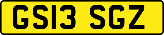 GS13SGZ