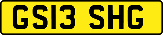 GS13SHG
