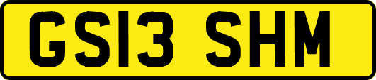 GS13SHM