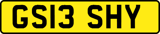 GS13SHY