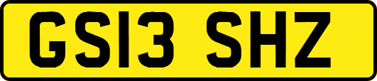 GS13SHZ