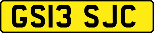 GS13SJC