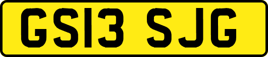 GS13SJG