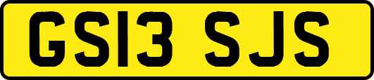 GS13SJS