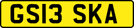 GS13SKA