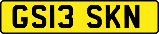 GS13SKN