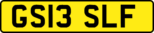 GS13SLF
