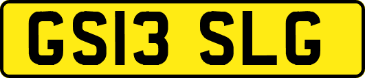 GS13SLG