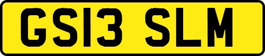GS13SLM